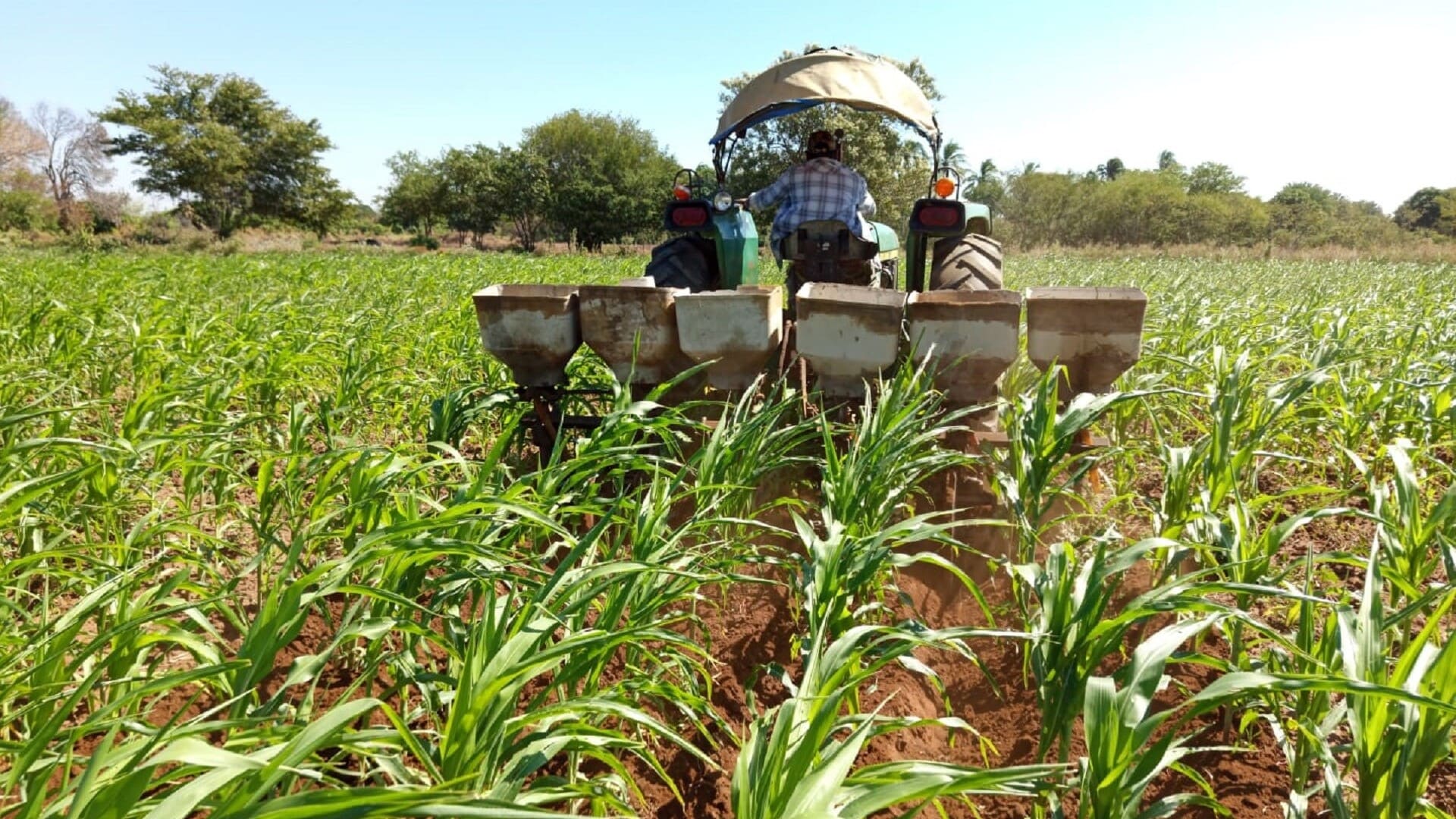 Se acentúa pobreza en municipios que no reciben remesas, revela estudio de Coneval