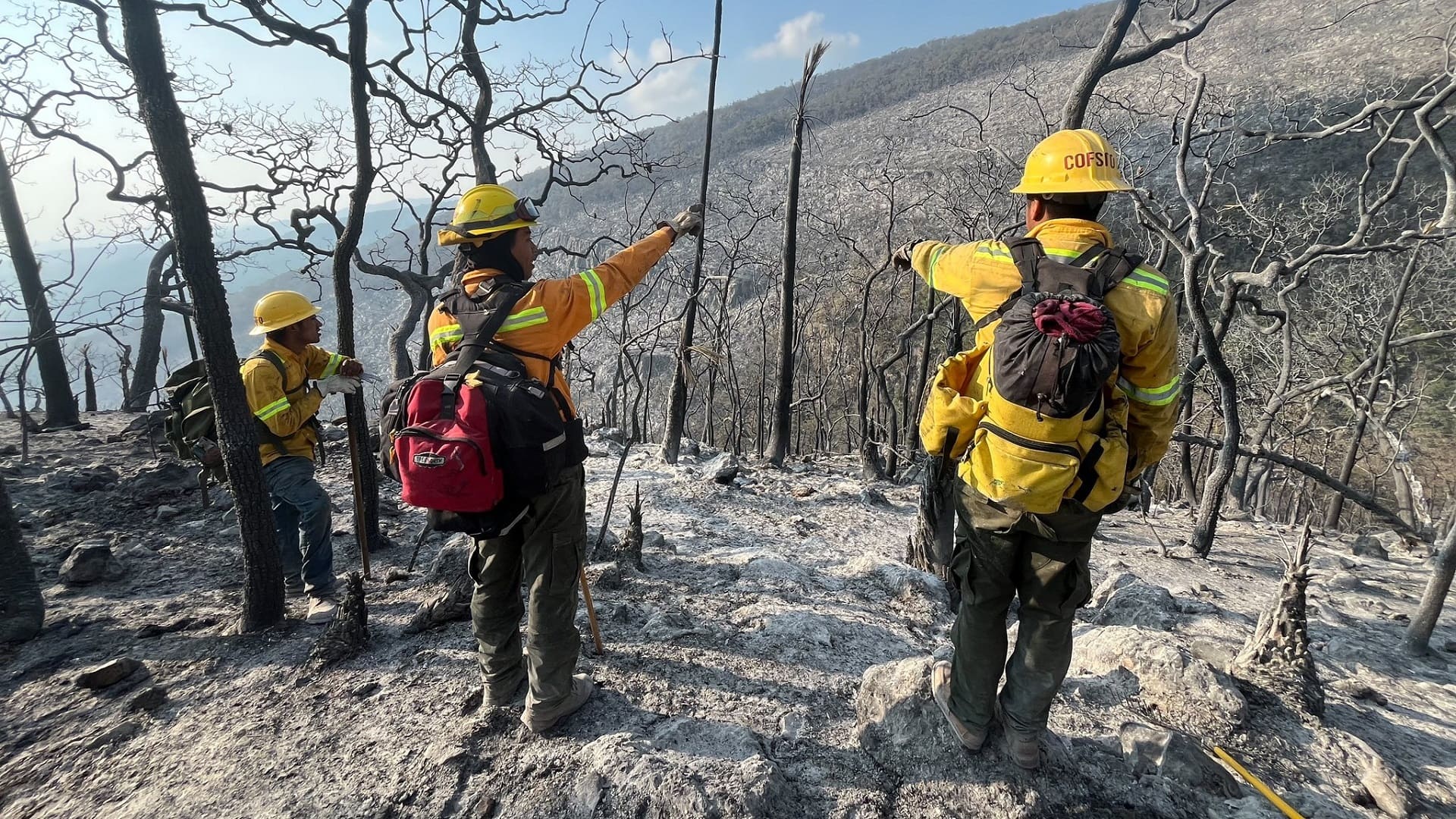 Consumen 46 incendios más de 2 mil hectáreas en Oaxaca durante mayo: Coesfo