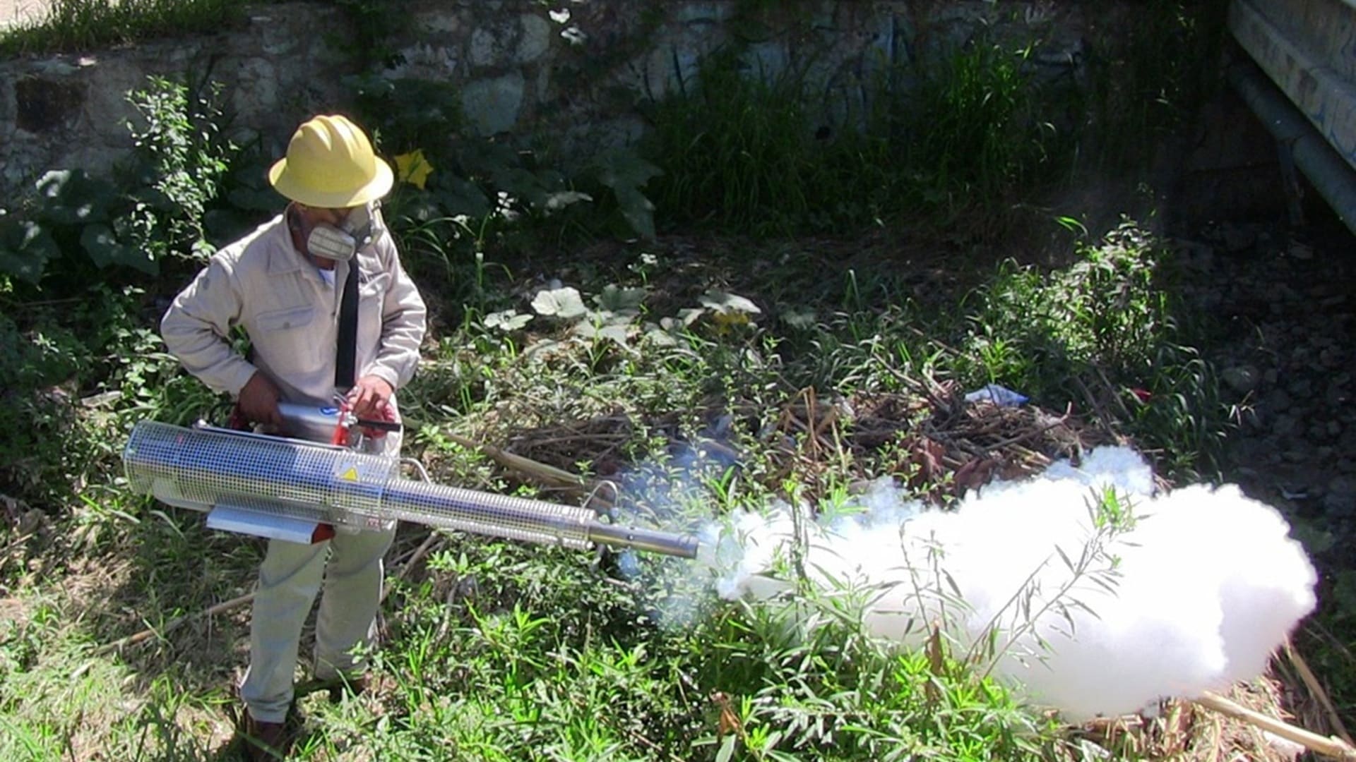 Batalla contra el paludismo en Oaxaca; se busca erradicar contagios antes del 2030