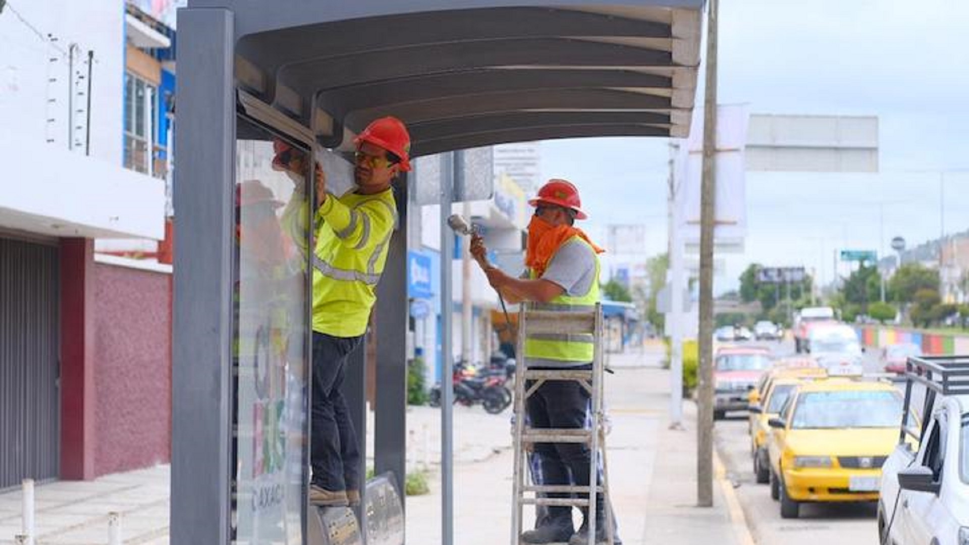 Dan mantenimiento a parabuses del BinniBus en la capital Dan mantenimiento a parabuses del BinniBus en la capital