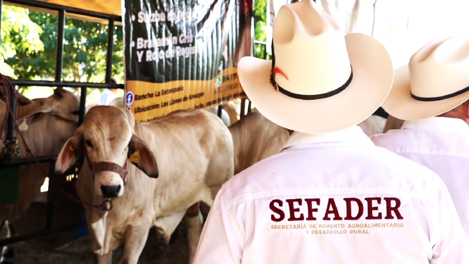 “Se va a quedar un ratito”: Víctor López Leyva advierte por gusano barrenador en Oaxaca “Se va a quedar un ratito”: Víctor López Leyva advierte por gusano barrenador en Oaxaca