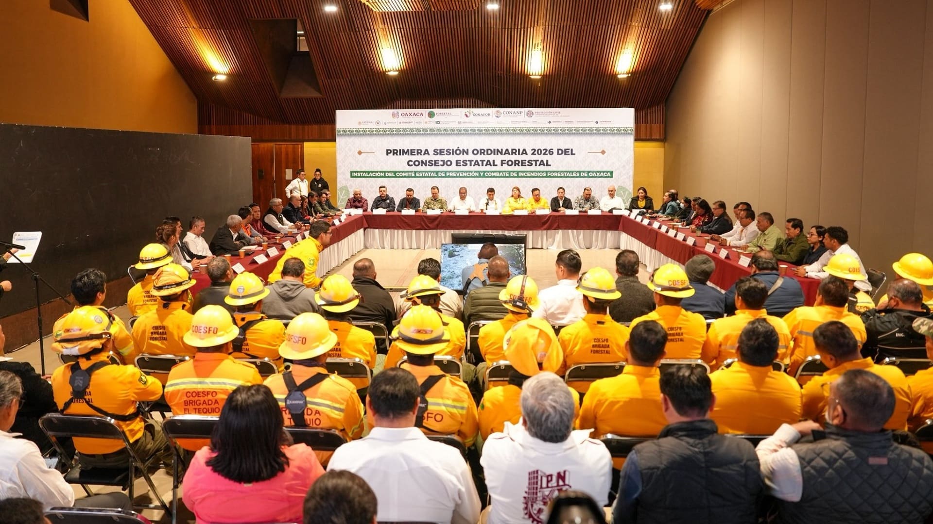 Jara Cruz: “Cuidar nuestros bosques es cuidar de nuestro pueblo y nuestra tierra” Jara Cruz: “Cuidar nuestros bosques es cuidar de nuestro pueblo y nuestra tierra”
