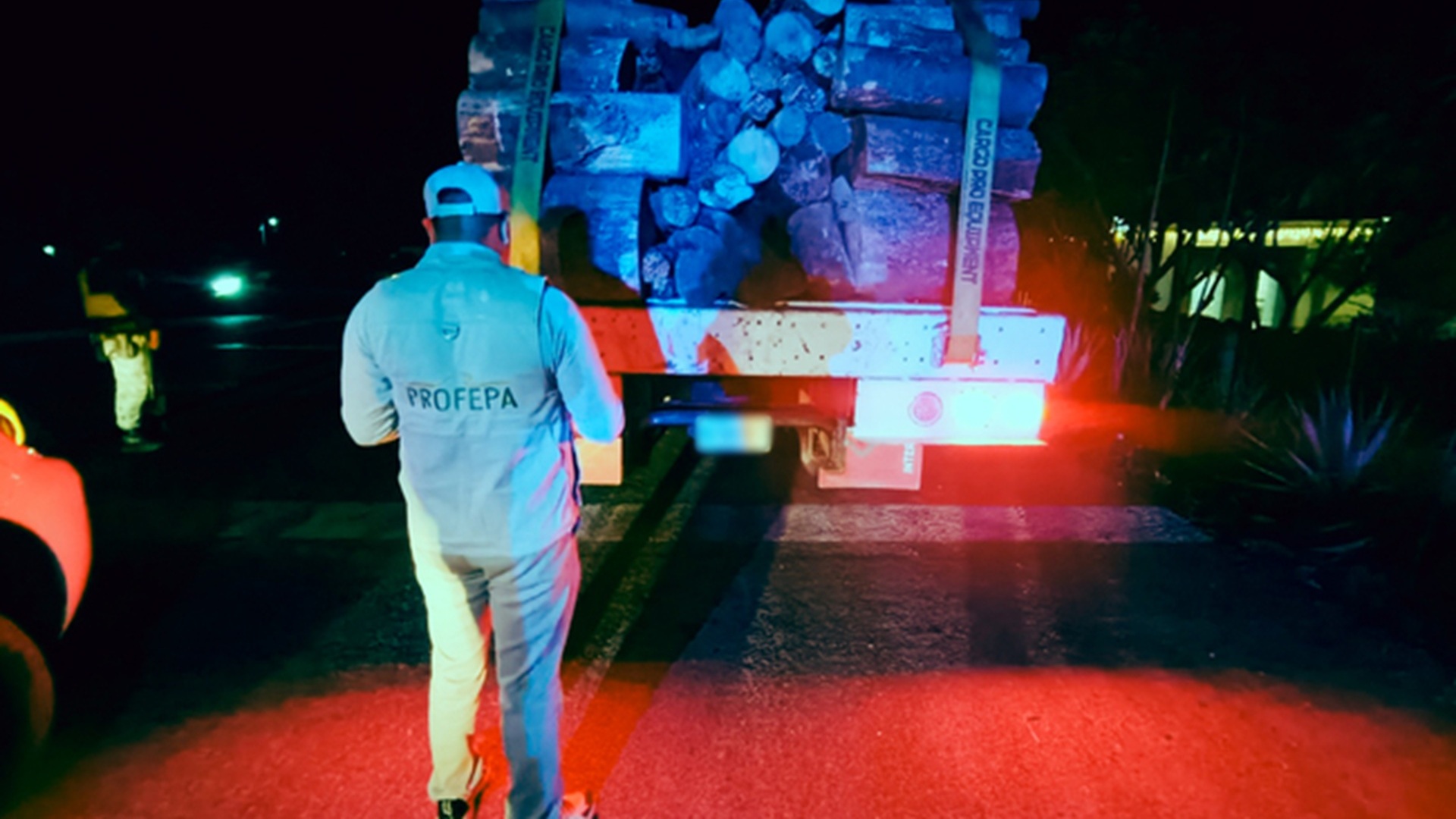 Profepa asegura miles de metros cúbicos de madera ilegal en operativos en Oaxaca