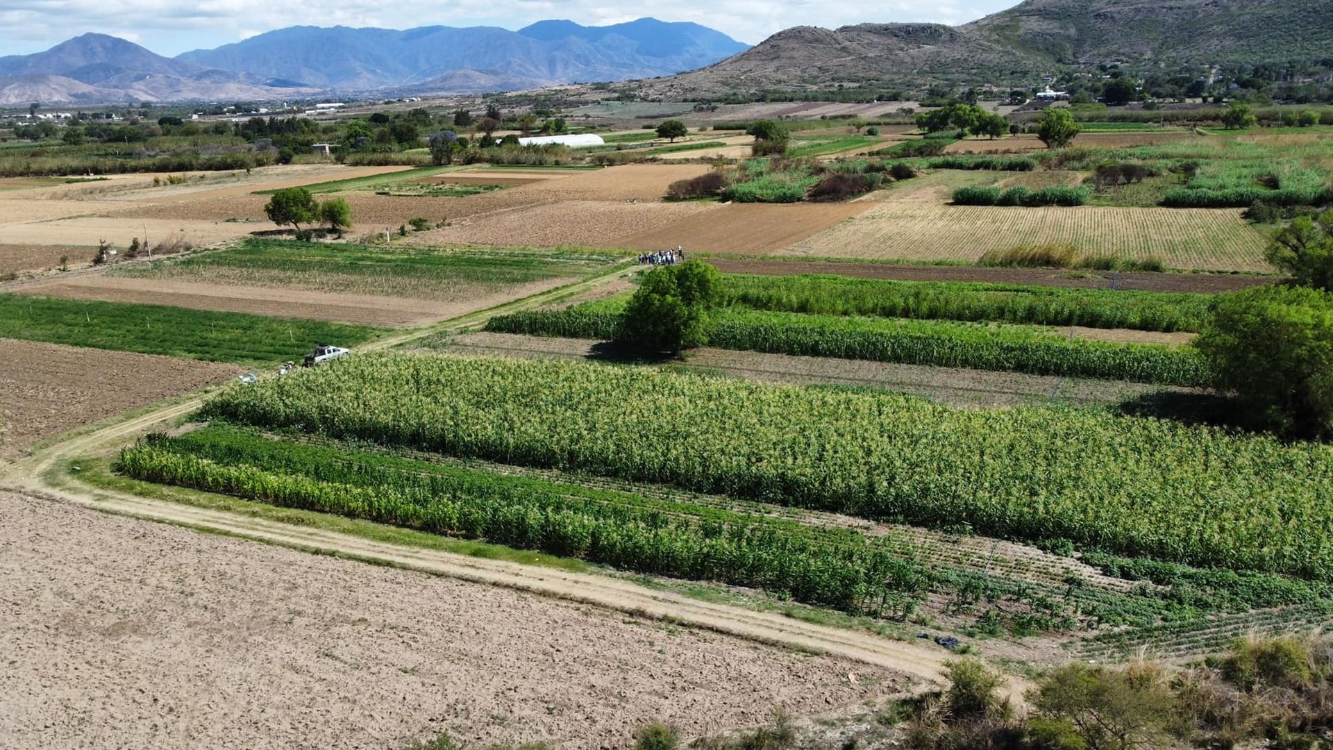 Oaxaca se dispara en crecimiento económico: lidera entre los estados con mayor avance