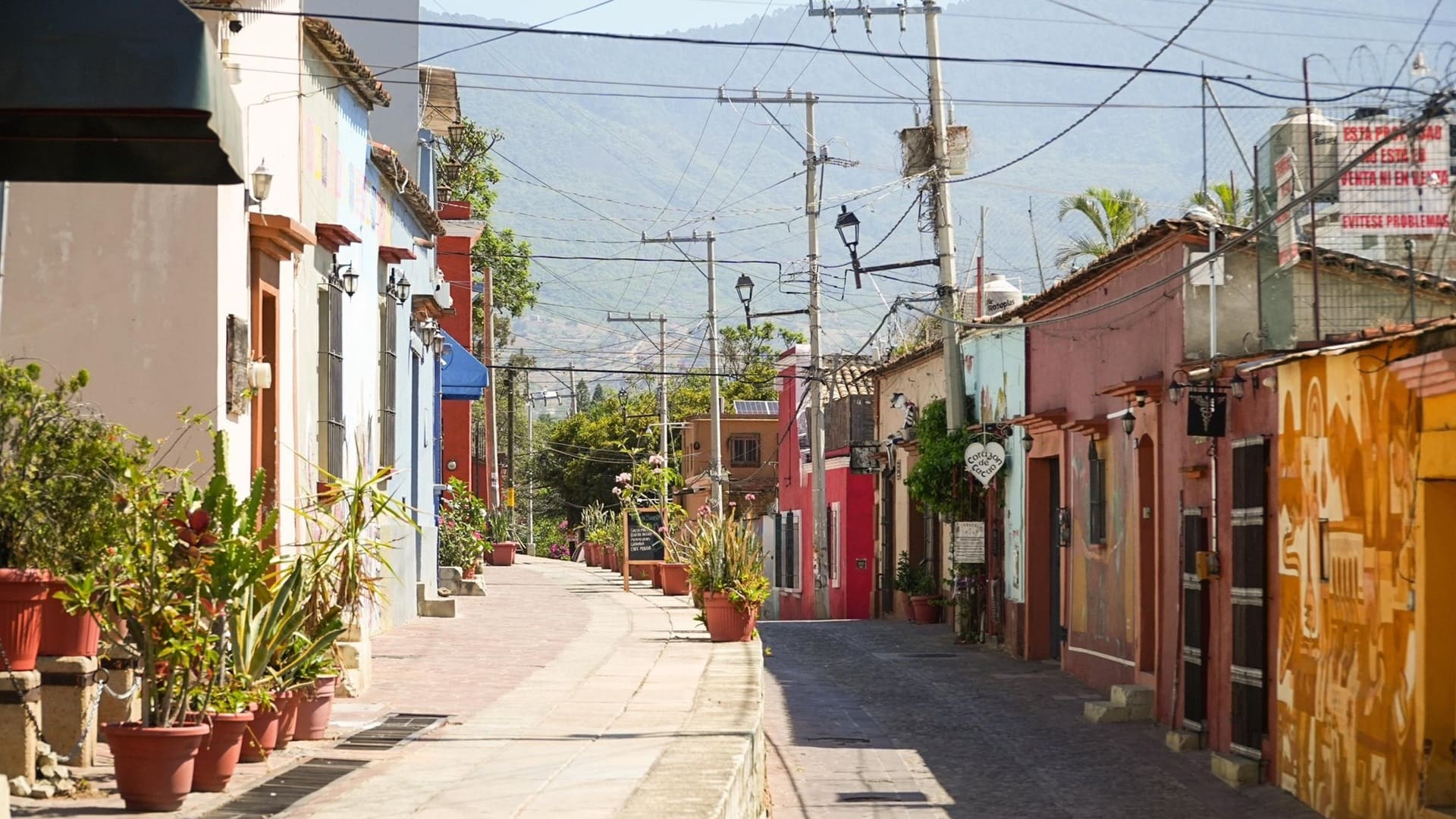 Xochimilco celebra 100 años de historia y tradición como emblemático barrio de Oaxaca