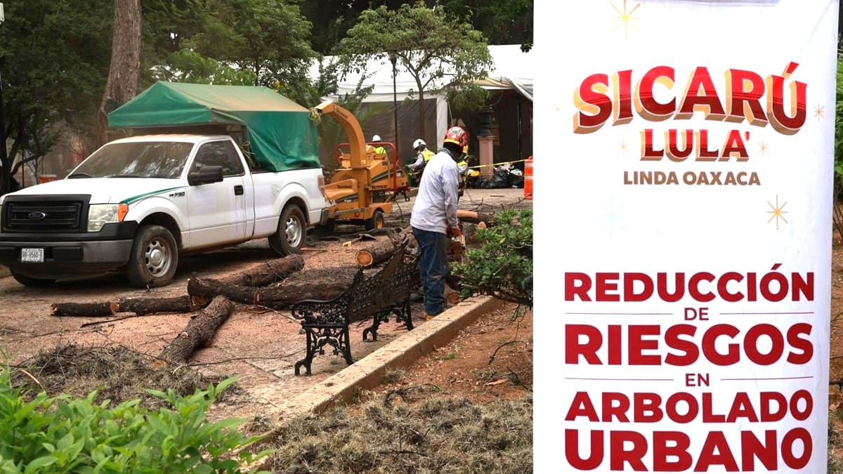 Un hombre corta troncos junto a una camioneta blanca frente a un cartel del programa Sicarú Lula-Linda Oaxaca