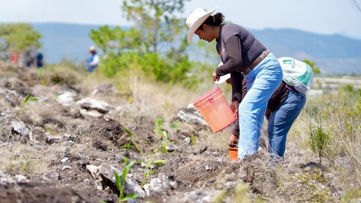 Una mujer con sombrero sostiene una cubeta en un surco en un campo rural