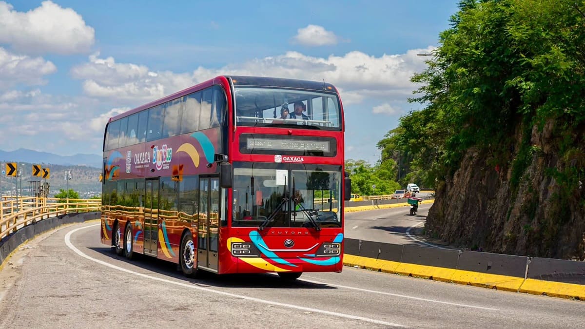 BinniBus: cuánto cuesta la transformación del transporte en Oaxaca