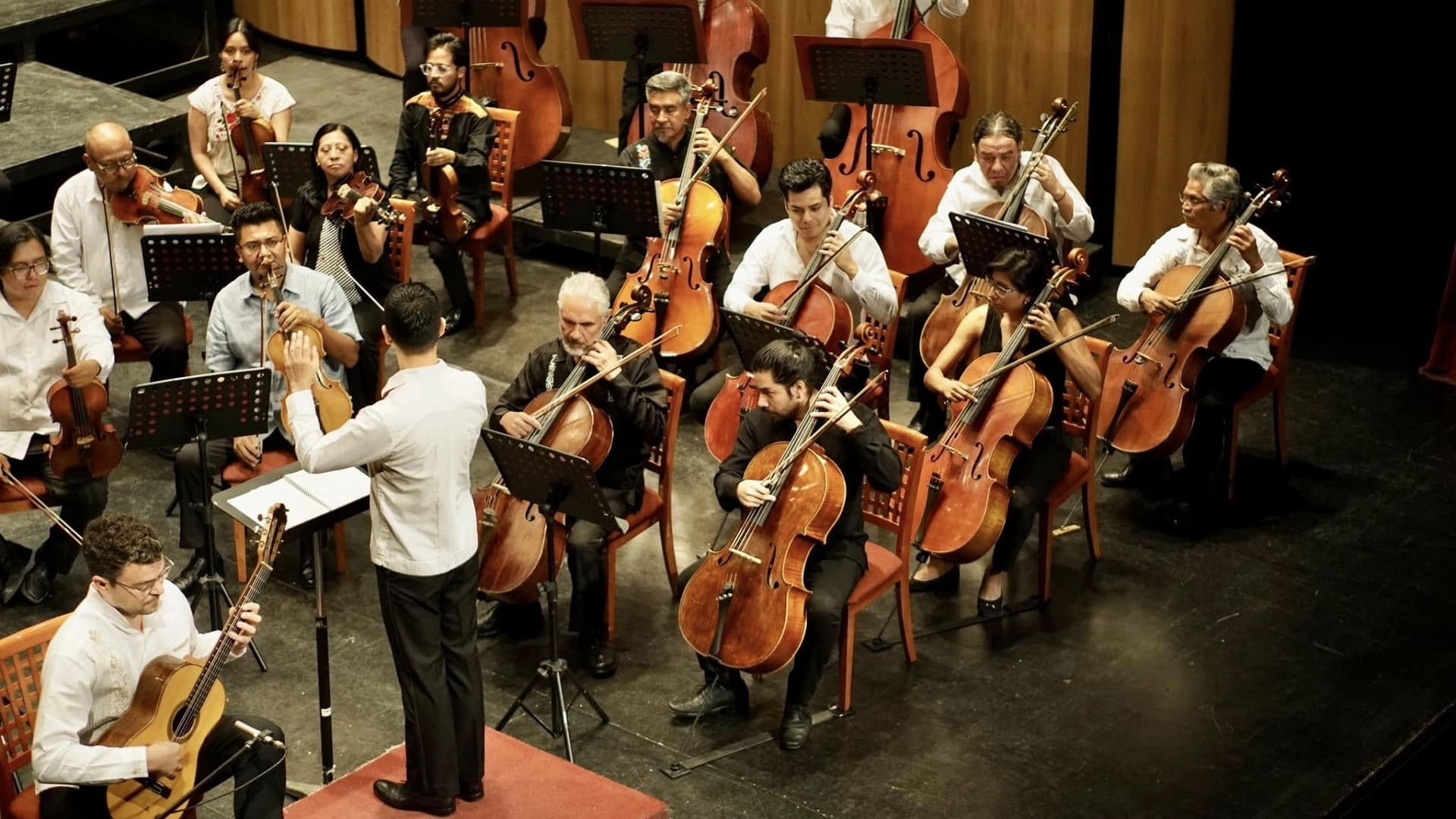 ¡Asiste! Concierto gratuito de la Orquesta Sinfónica de Oaxaca, en el Macedonia Alcalá ¡Asiste! Concierto gratuito de la Orquesta Sinfónica de Oaxaca, en el Macedonia Alcalá