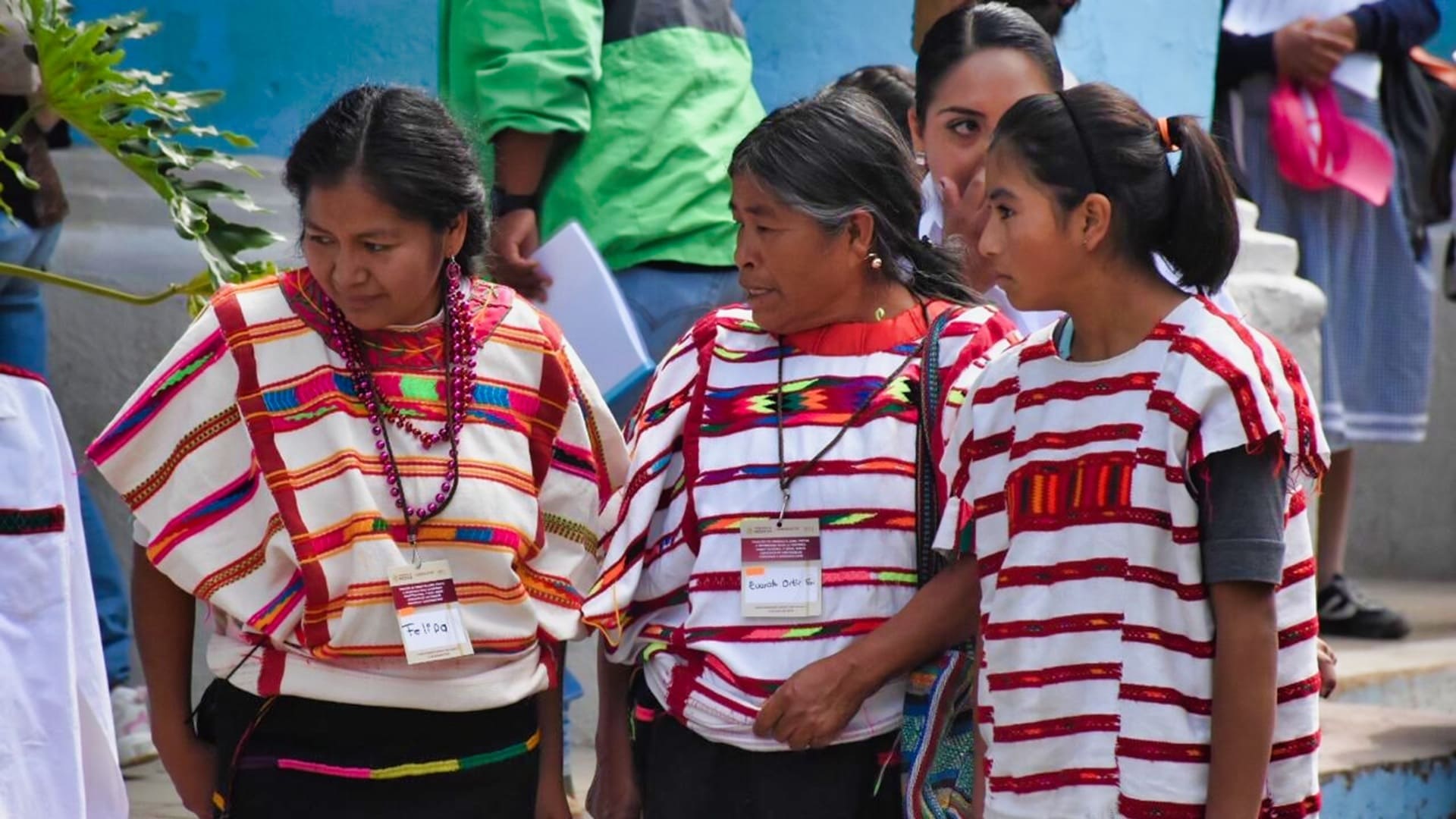 Al menos cinco lenguas originarias de Oaxaca en peligro de desaparecer