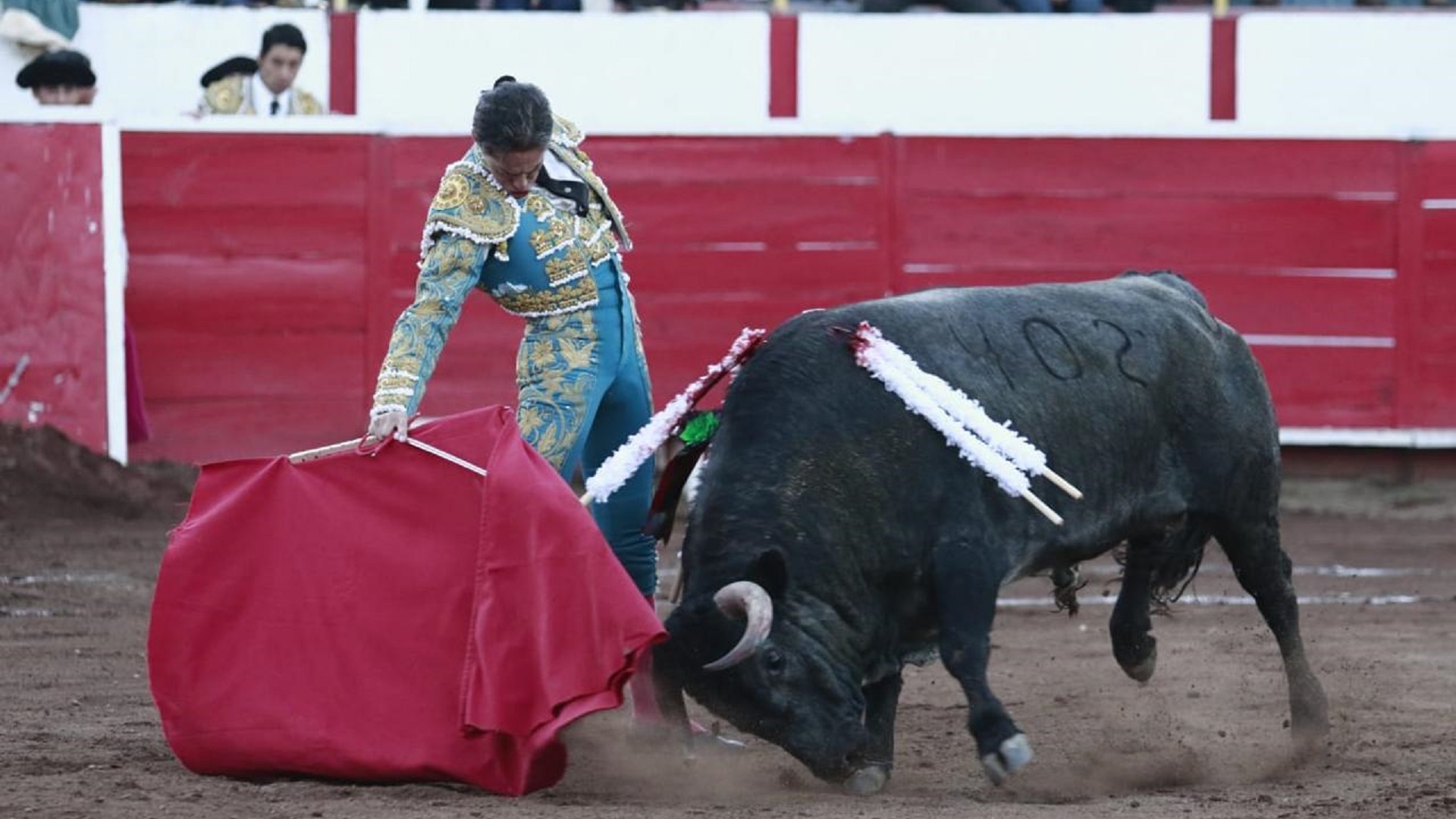 Diego Silveti corta una oreja en San Miguel de Uriangato; Adame sale en hombros Diego Silveti corta una oreja en San Miguel de Uriangato; Adame sale en hombros