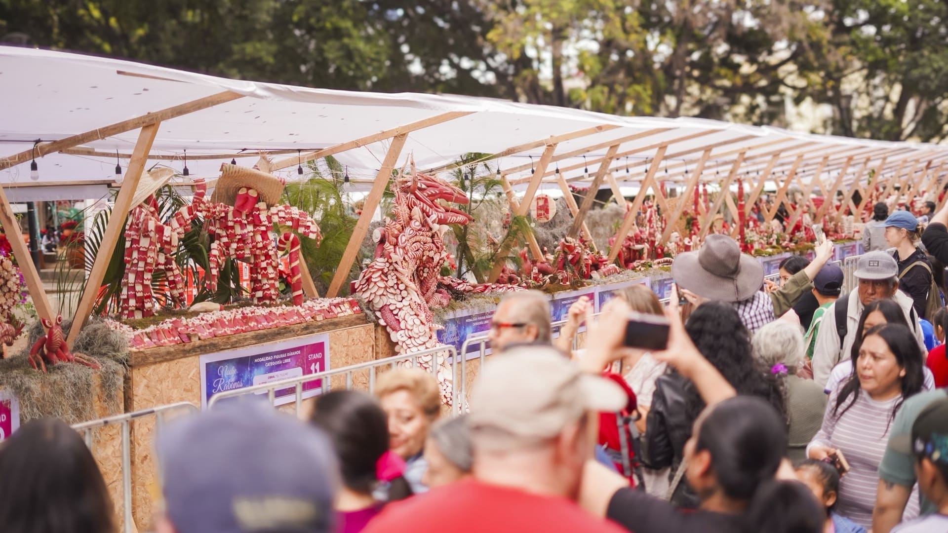 Maravilla Oaxaca con la edición 128 de la tradicional Noche de Rábanos