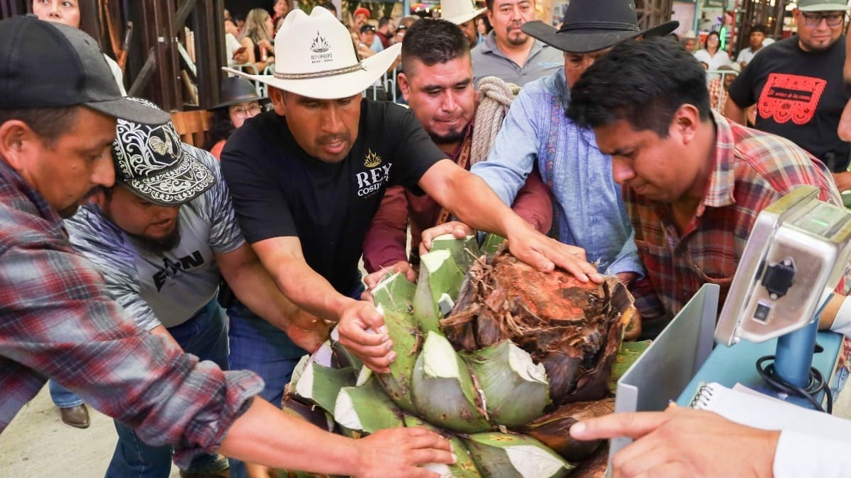 Día del Magueyero Oaxaqueño: Raúl García gana con piña de maguey de 300.2 kilos Día del Magueyero Oaxaqueño: Raúl García gana con piña de maguey de 300.2 kilos