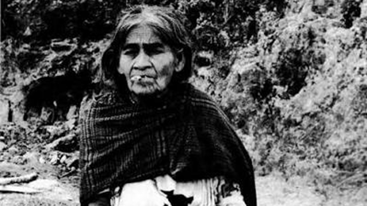 ¿Qué es el Psilocybe mexicana? El hongo de María Sabina ¿Qué es el Psilocybe mexicana? El hongo de María Sabina