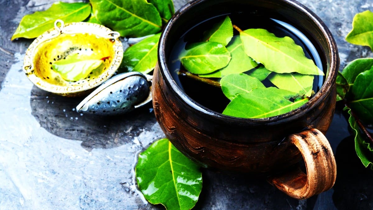 Una tasa de barro con agua junto a hojas de guanábana en una mesa