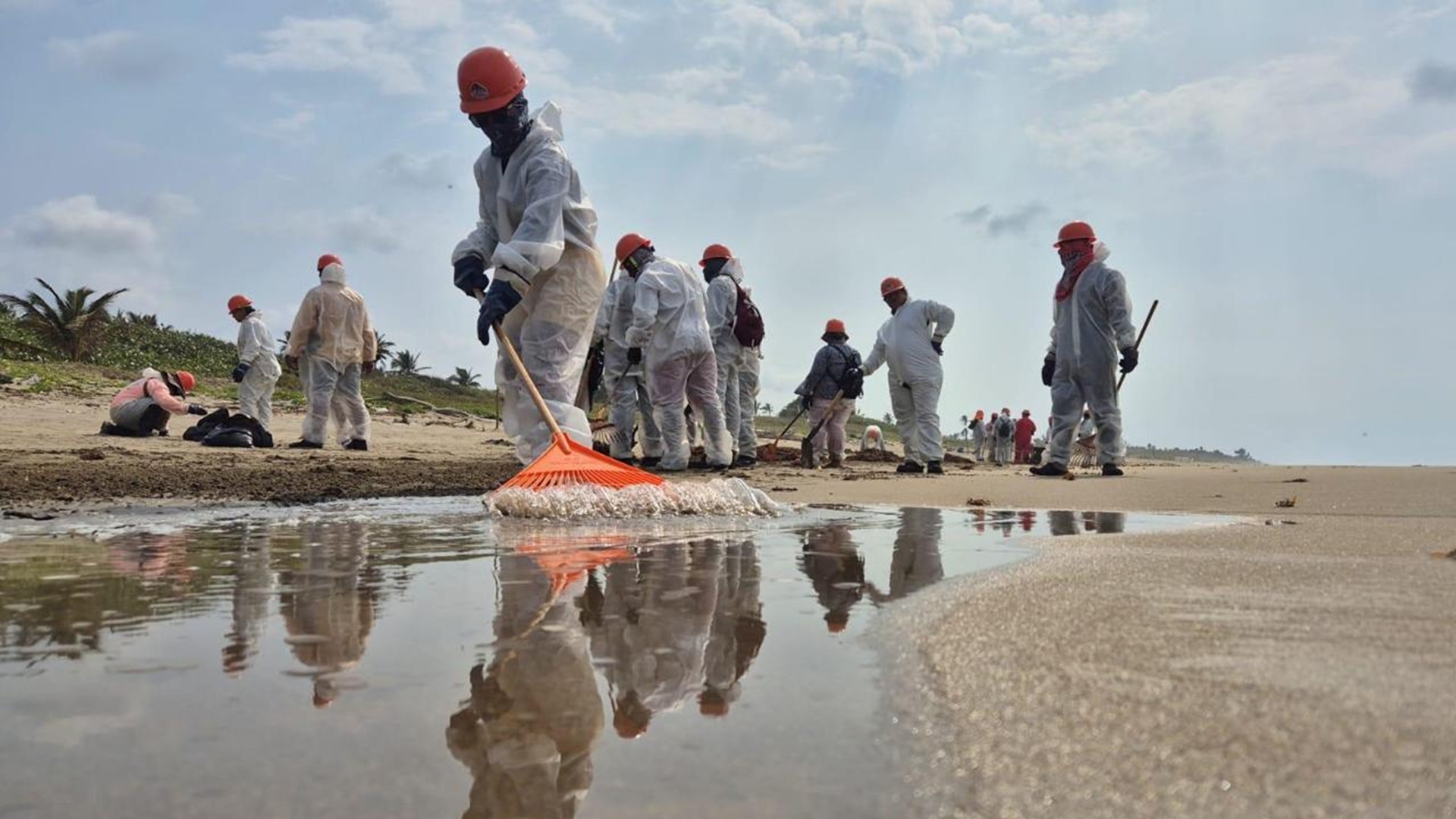 Pemex reporta control de contaminación por hidrocarburos en el Golfo de México; limpian más de 480 km de costas