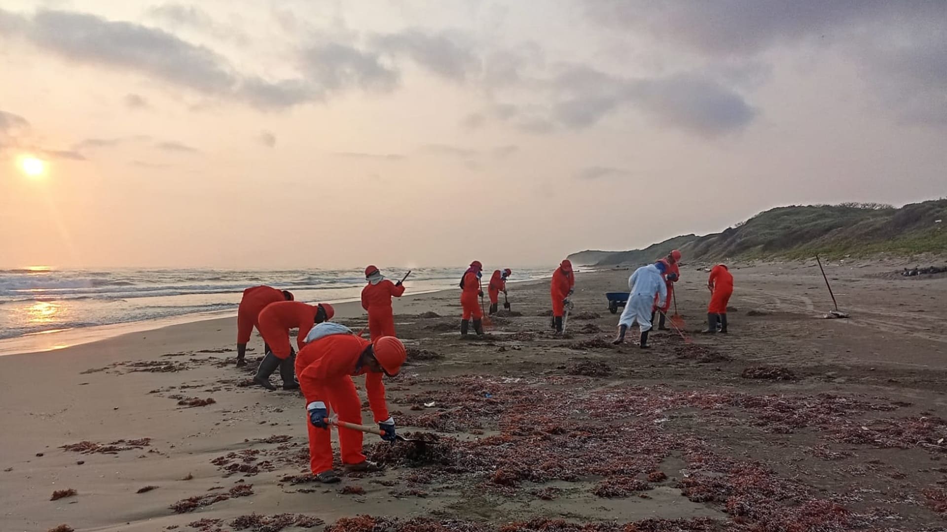 Trabajadores de Pemex recolectan residuos de hidrocarburos en una playa del Golfo de México.