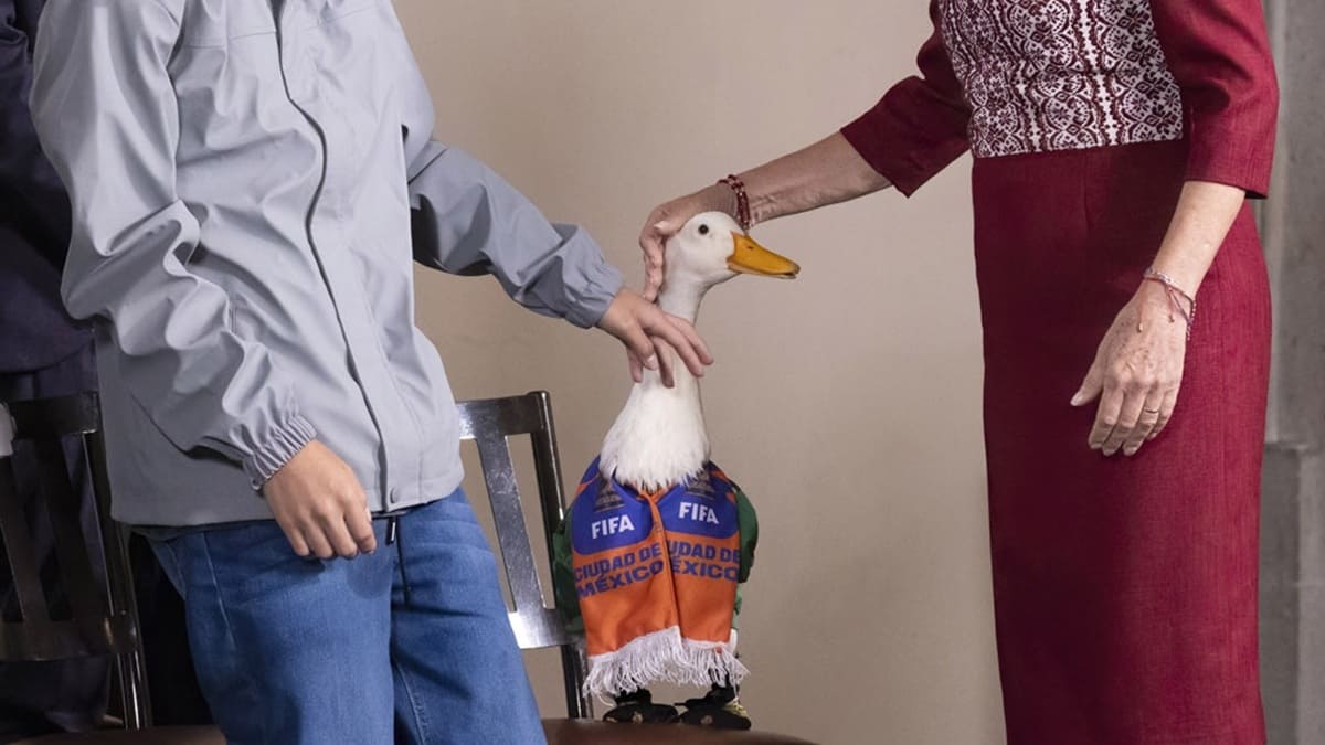  Gobierno da vivienda a la familia del Pato Merlín; así obtuvo el apoyo tras hacerse viral en el Mundial 