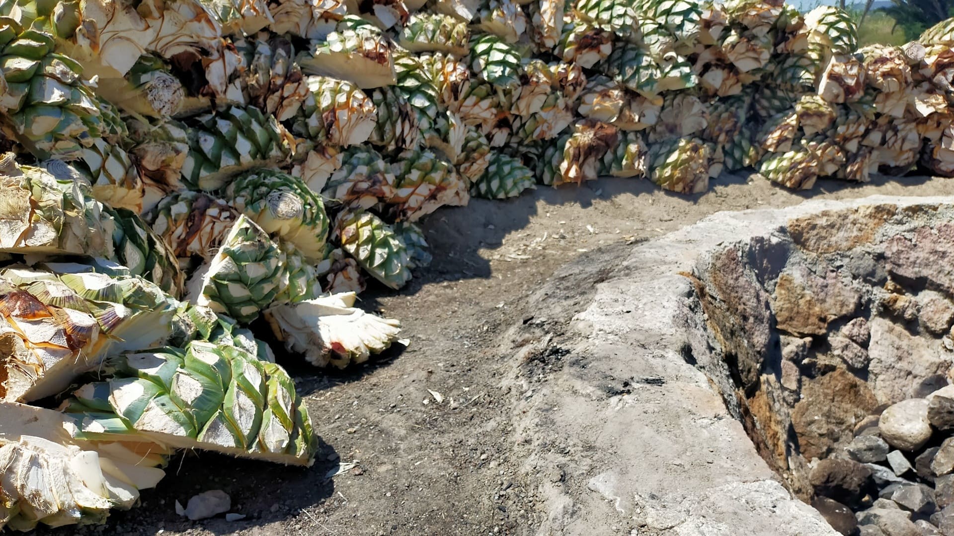Los mezcaleros pobres