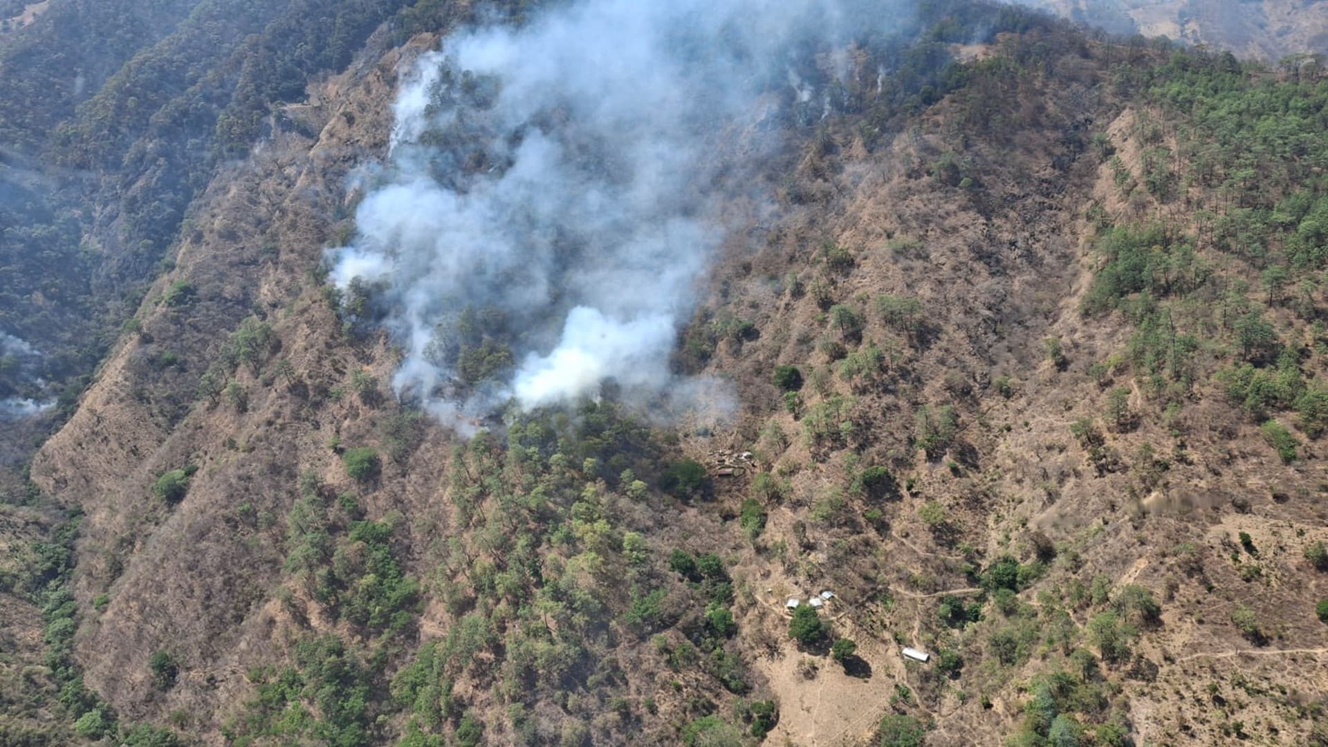 Coesfo anuncia control del incendio forestal en Santiago Amoltepec