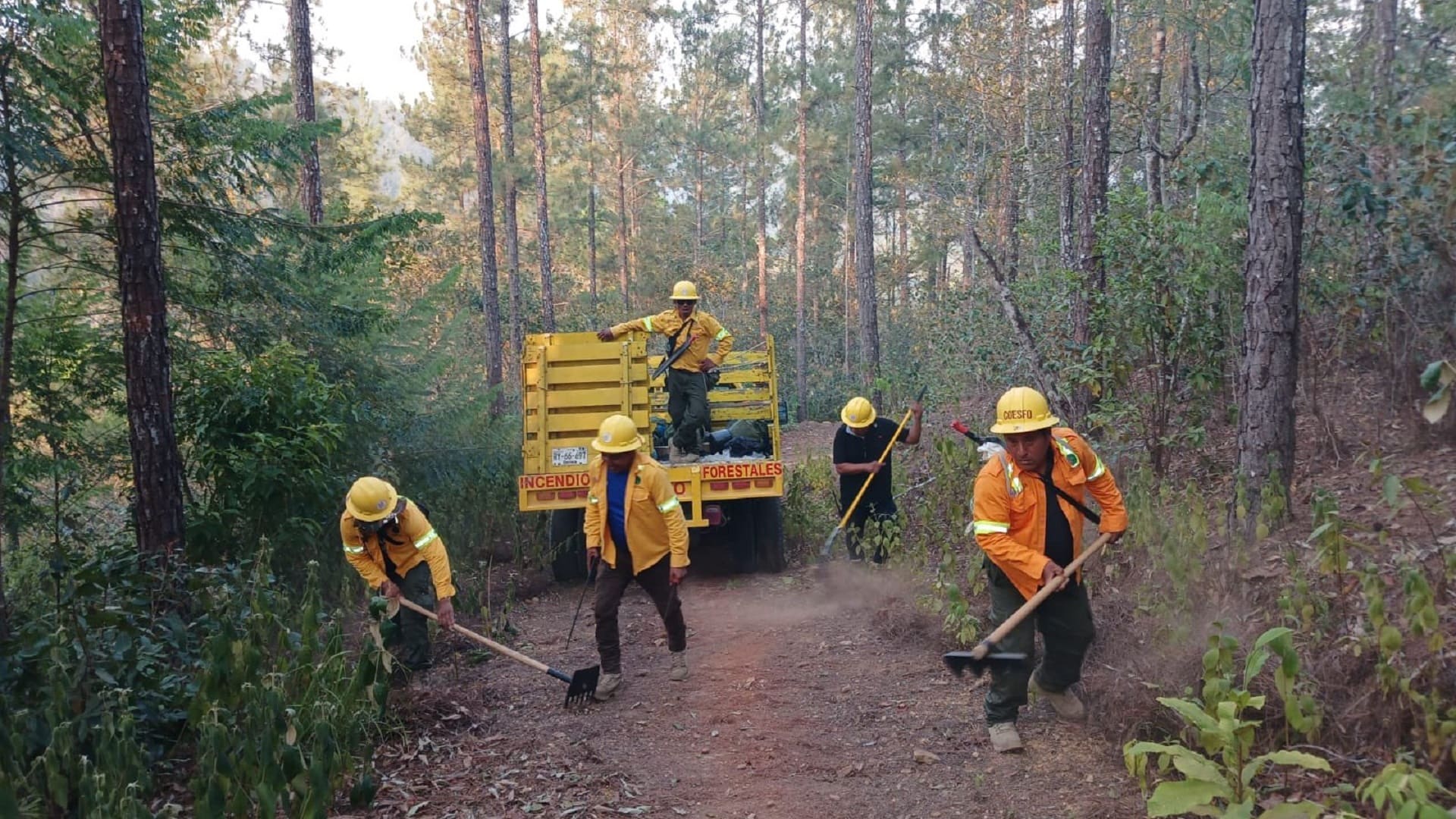 Coesfo reporta control total de incendio forestal en San Juan Cotzocón