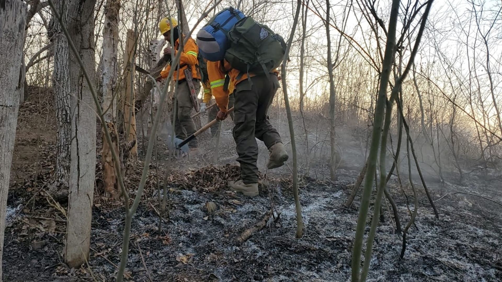 Combaten incendios en San Pedro Pochutla y en límites de Sola de Vega con San Vicente Coatlán