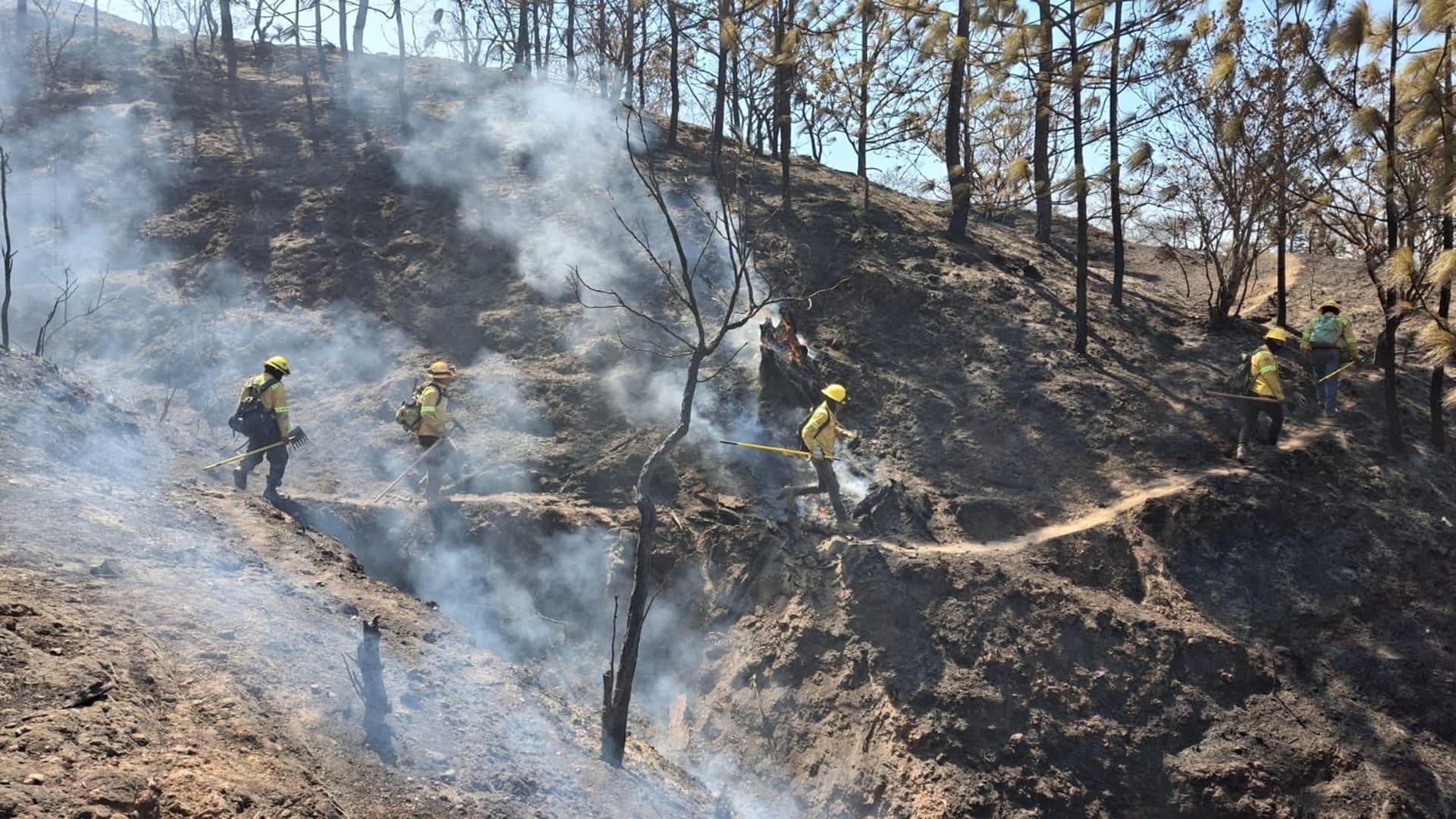 En Oaxaca se han registrado 121 incendios; 105 forestales y 16 de pastizales