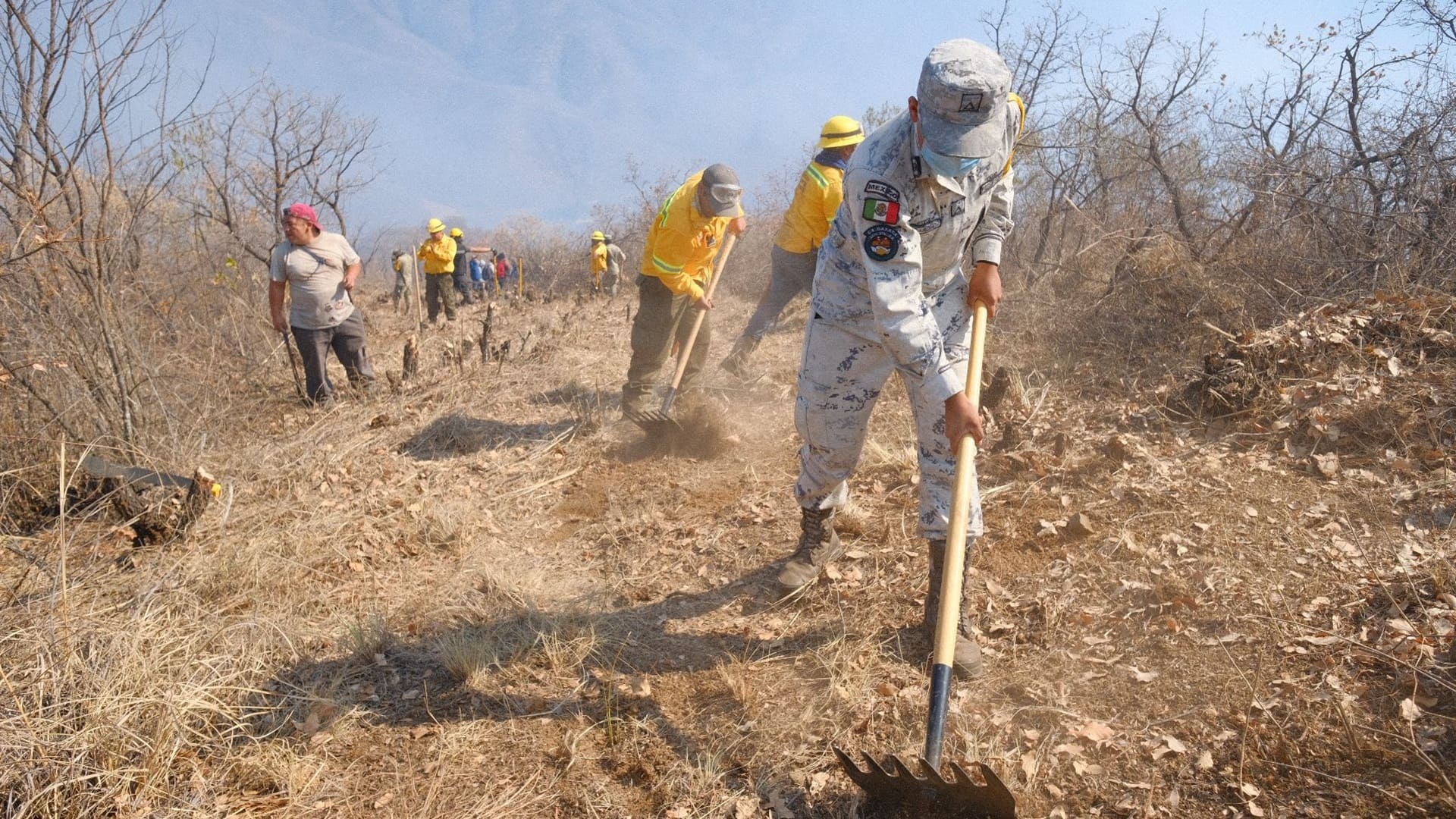 Incendio forestal explosivo arrasa con 500 hectáreas en Oaxaca