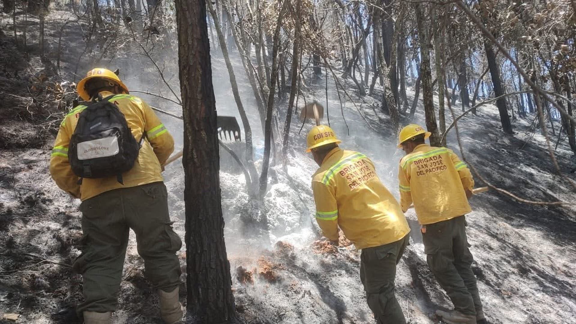 ¡Lo lograron! Coesfo abate feroz incendio forestal en Santa María Peñoles