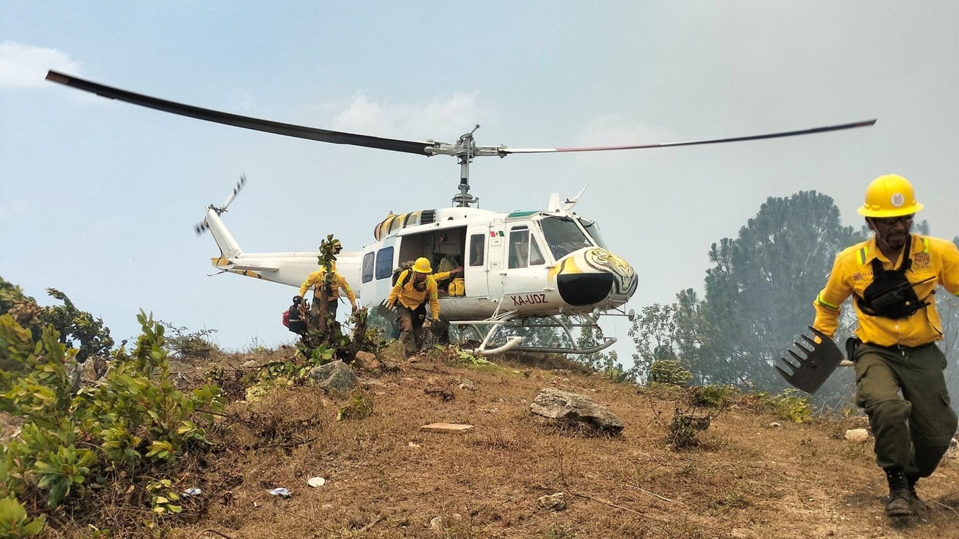 En Oaxaca se han registrado 121 incendios; 105 forestales y 16 de pastizales