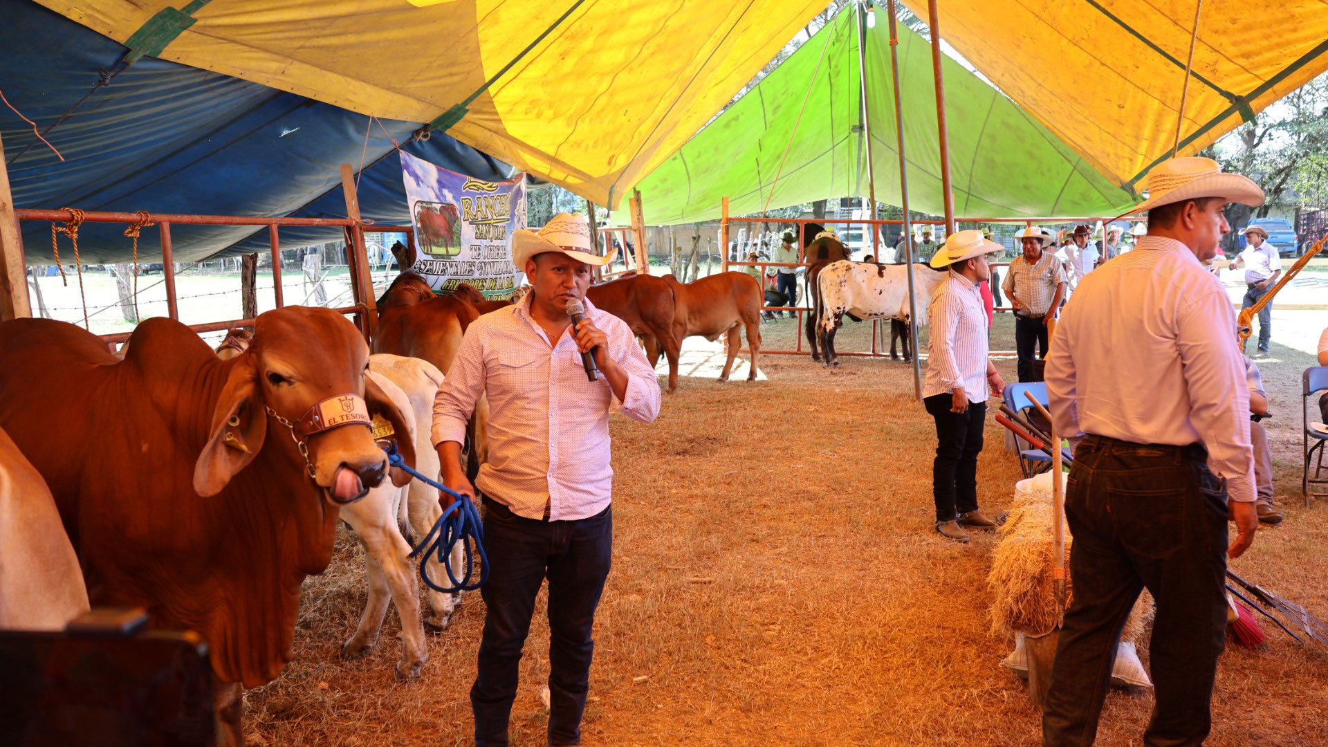 Inauguran Expo Ganadera, Artesanal y Agrícola 2025 en Putla Villa de Guerrero