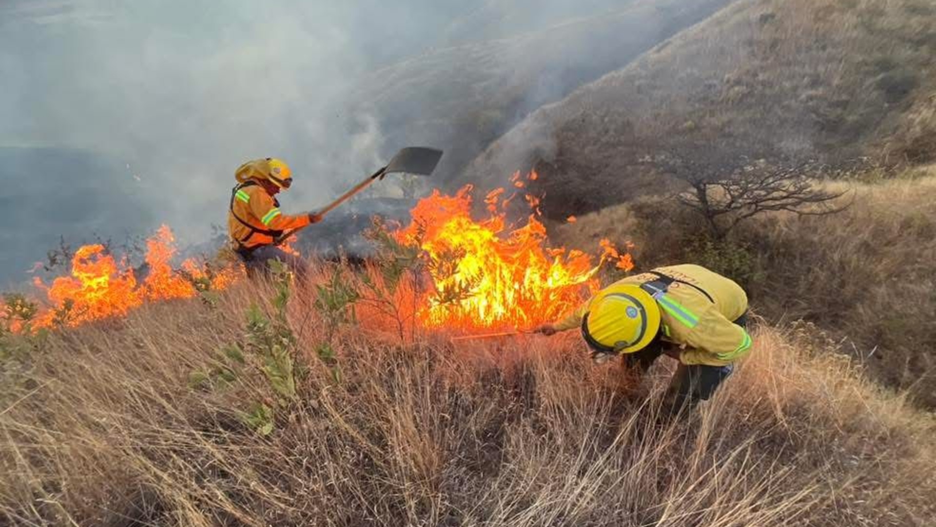 Tragedia en la Costa de Oaxaca: mueren dos personas en incendio de pastizales en Barra Copalita Tragedia en la Costa de Oaxaca: mueren dos personas en incendio de pastizales en Barra Copalita