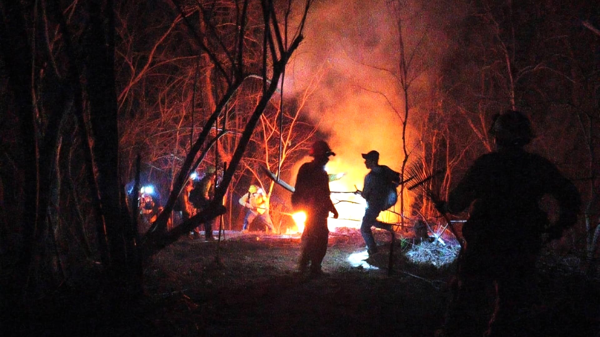 Entre humo y esperanza: brigadistas logran 60% de control del incendio en la Costa de Oaxaca