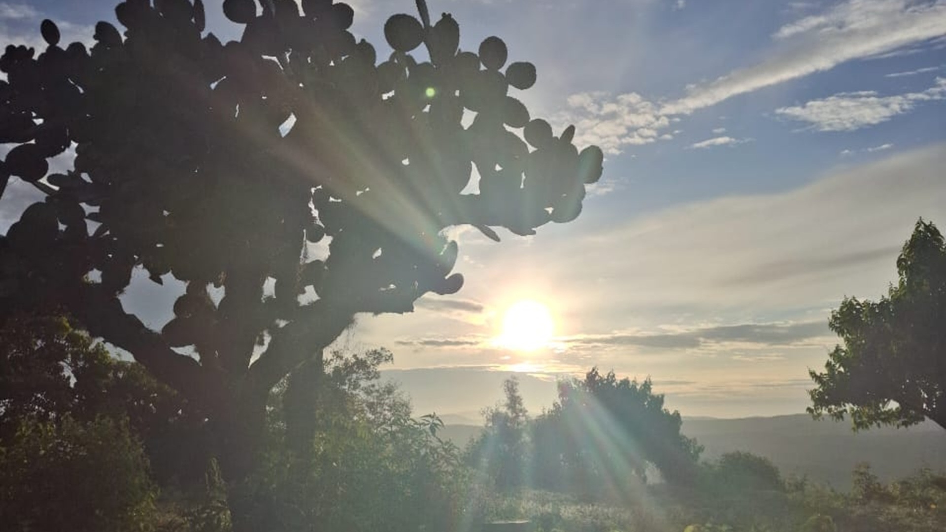 Atardecer en la Mixteca Alta de Oaxaca, con el sol de fondo y una nopalera.