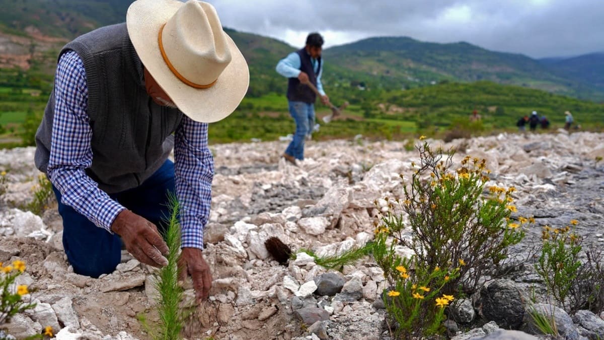 Imagen de dos campesinos con sombrero realizando trabajos de limpieza en un campo rural