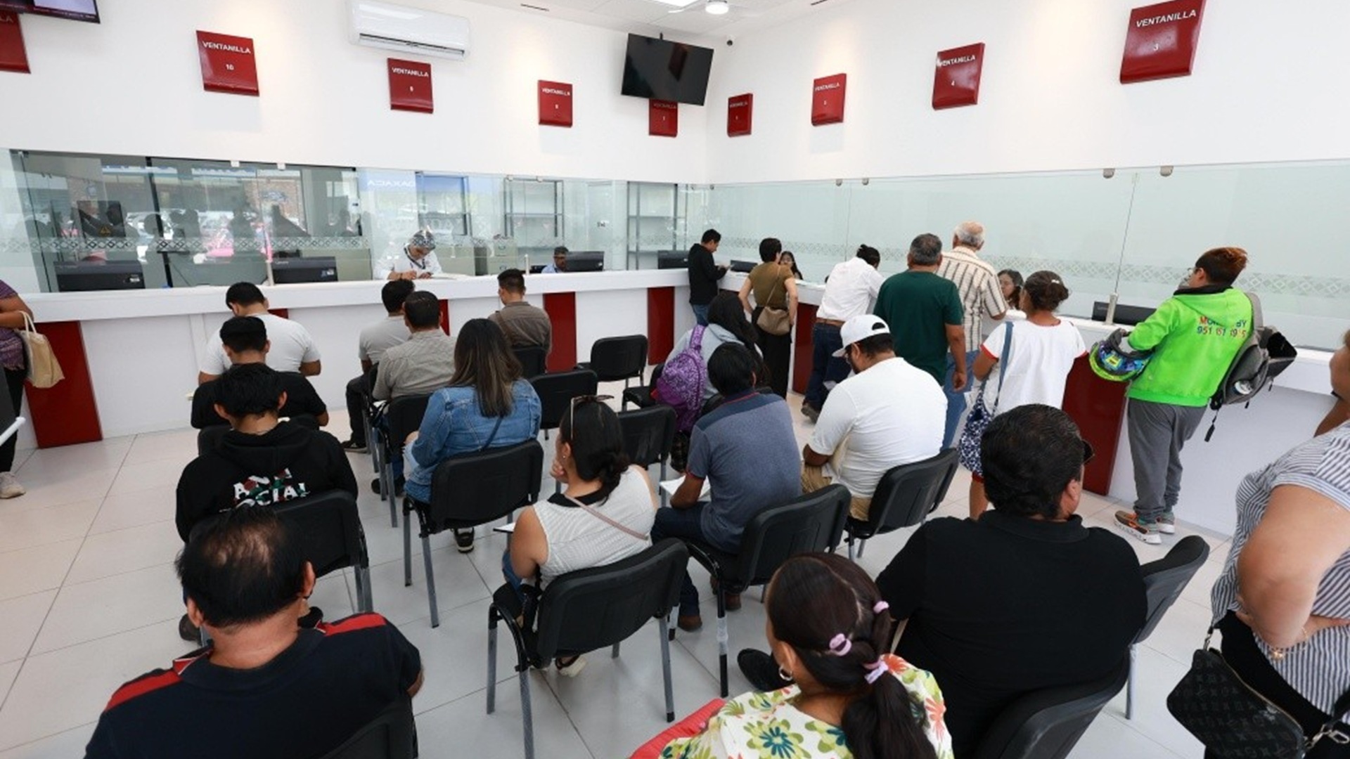 Cómo agendar citas en SEMOVI Oaxaca 2026: Guía para licencias y placas