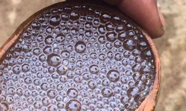 Oaxaca emprenderá batalla legal en defensa del mezcal