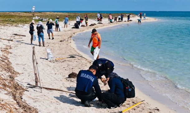 ASEA presenta denuncia penal por contaminación con hidrocarburos en costas del Golfo