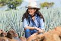Bertha González Nieves: la mujer que llevó el tequila premium a otro nivel