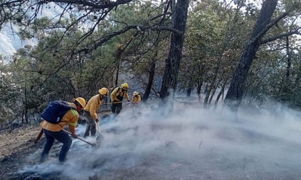 Coesfo interviene y controla incendio forestal en Santa María Peñoles