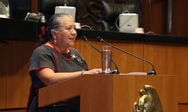 Cortés, Estrada y Morales, tres voces oaxaqueñas en el Senado: ¿Qué hicieron y qué propusieron en 2025?