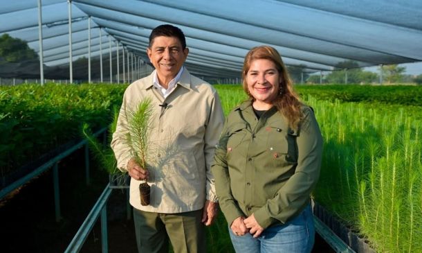 Oaxaca participará en la Jornada Nacional de Reforestación 2026 con 17 millones de plantas
