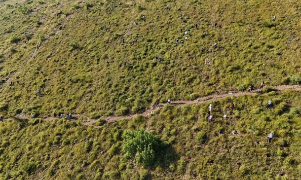 Realizan Mega Tequio de Reforestación en Monte Albán