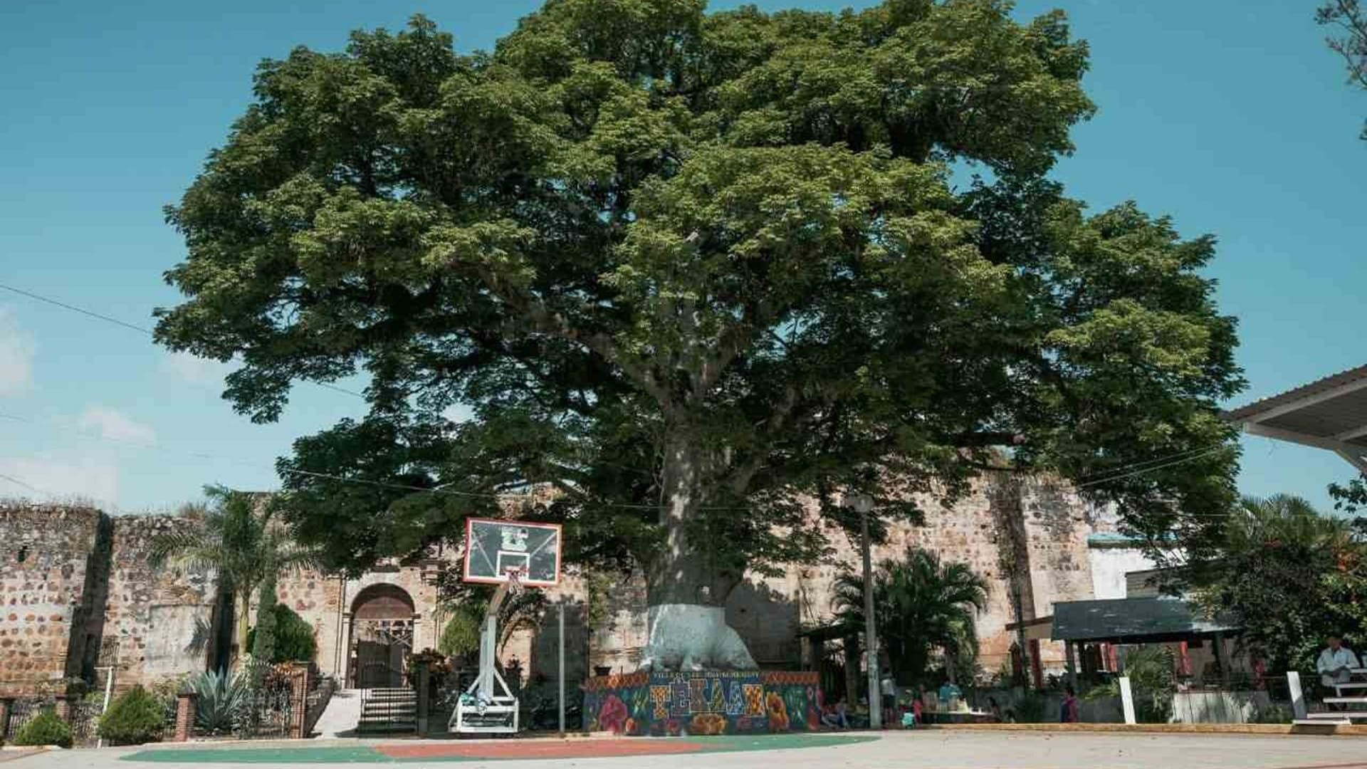 Higo de la capilla de Belén, herencia de José María Morelos en Oaxaca