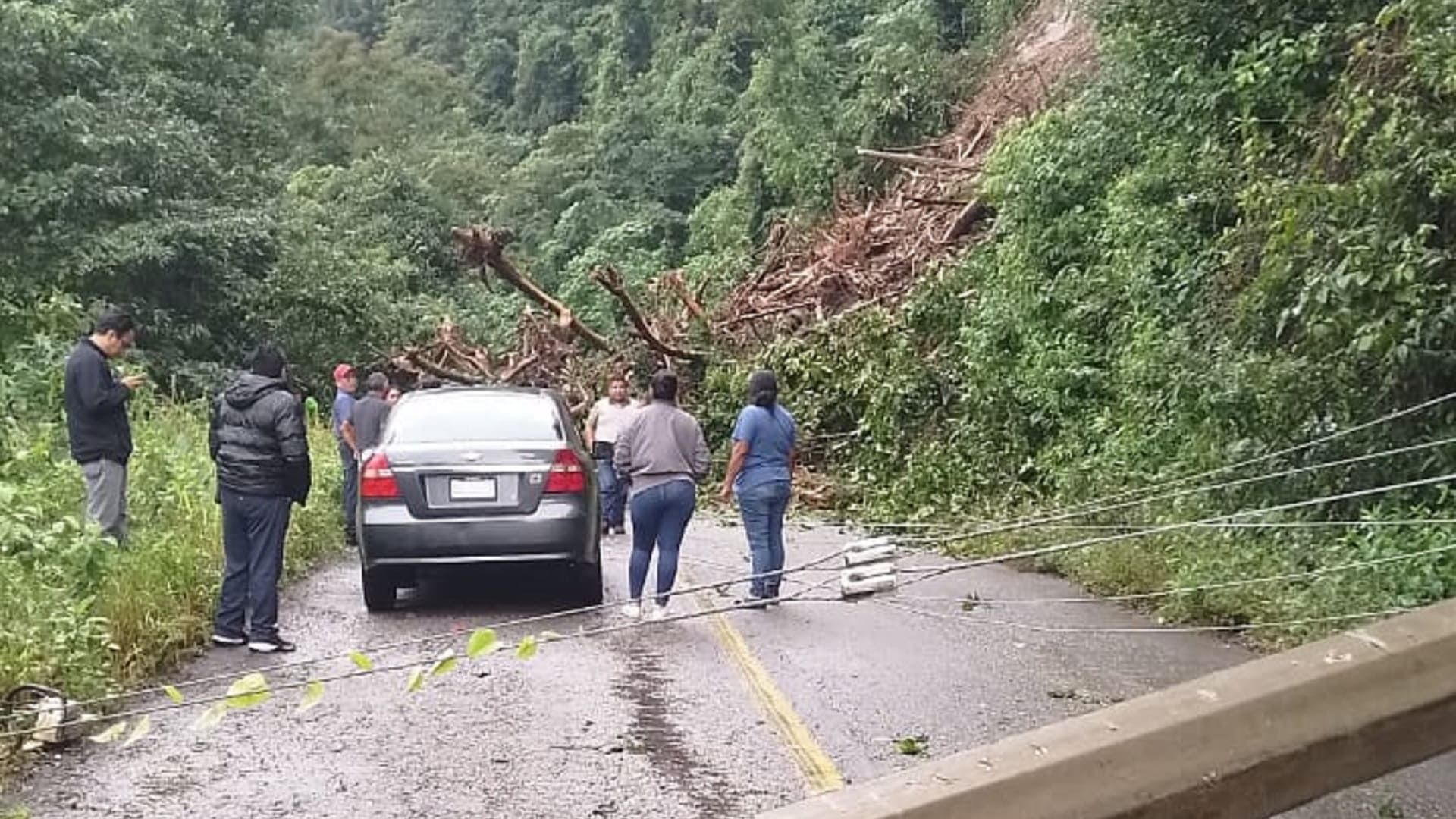 Cierran la carretera federal 175 por derrumbe en el tramo Valle Nacional–Oaxaca
