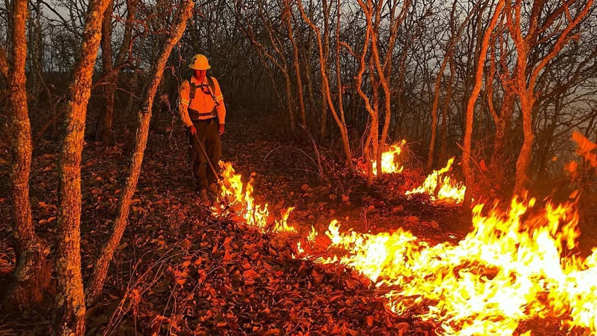 Sin reporte de intoxicaciones por incendio forestal en Santo Domingo Tomaltepec 