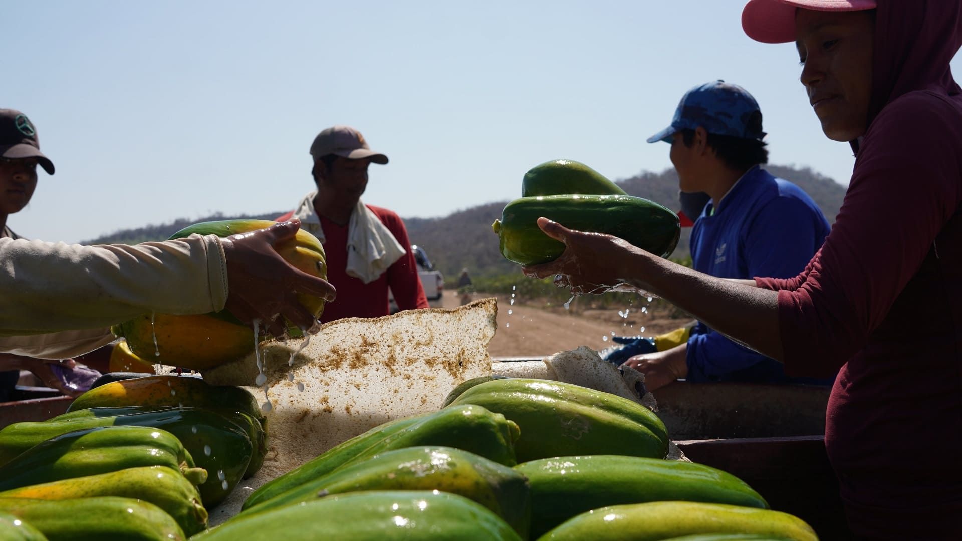 México pierde 47 mil empleos formales en abril: Oaxaca destaca como excepción, revela IMSS