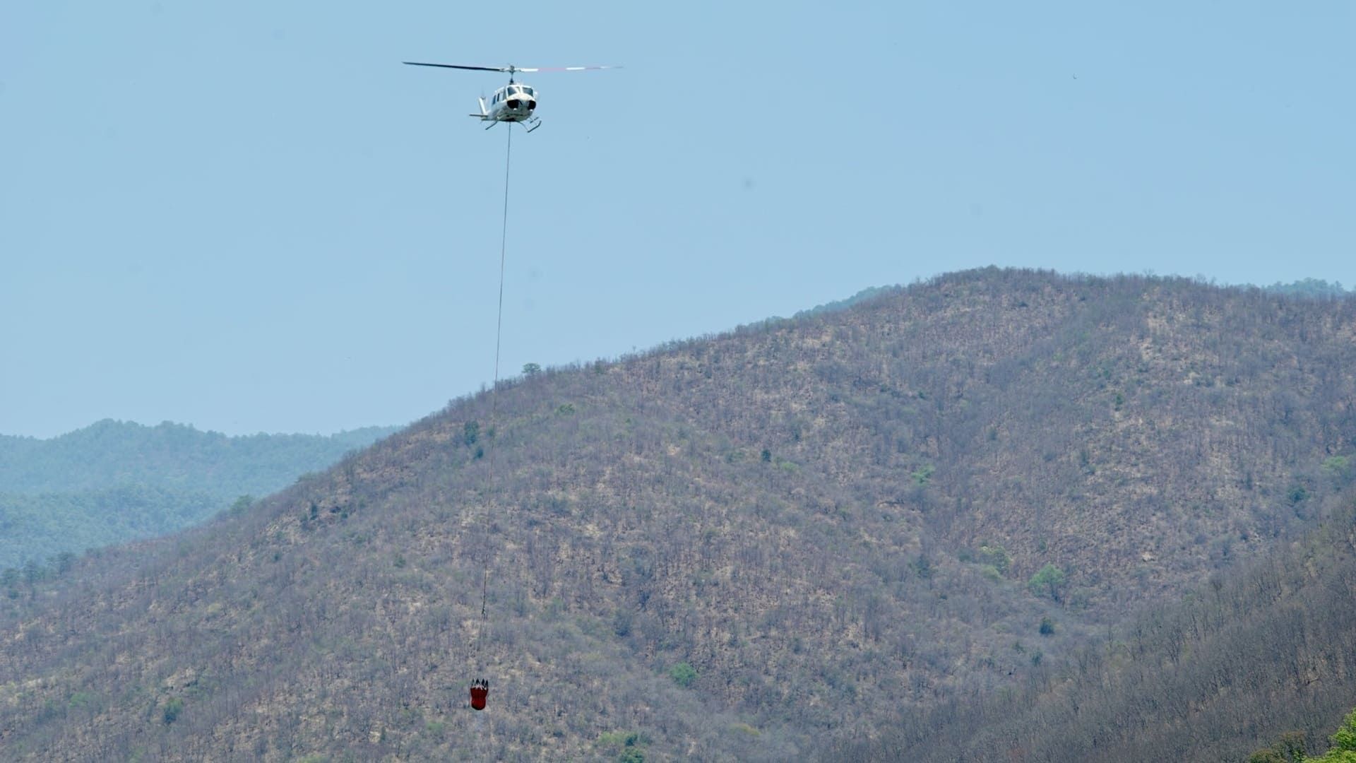 Con descargas aéreas combaten en Oaxaca incendios forestales