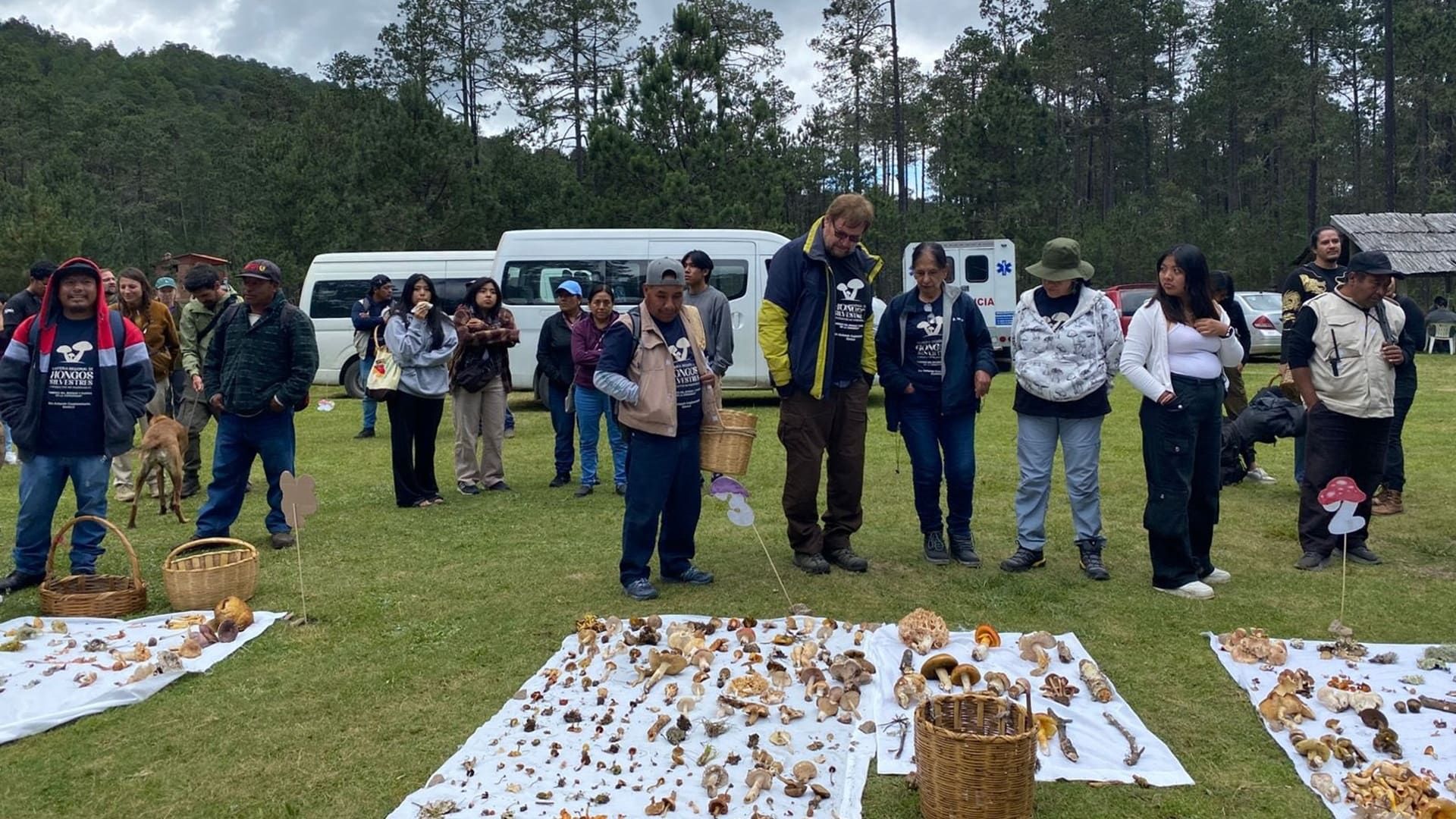San Antonio Cuajimoloyas celebra su Feria Regional de los Hongos Silvestres