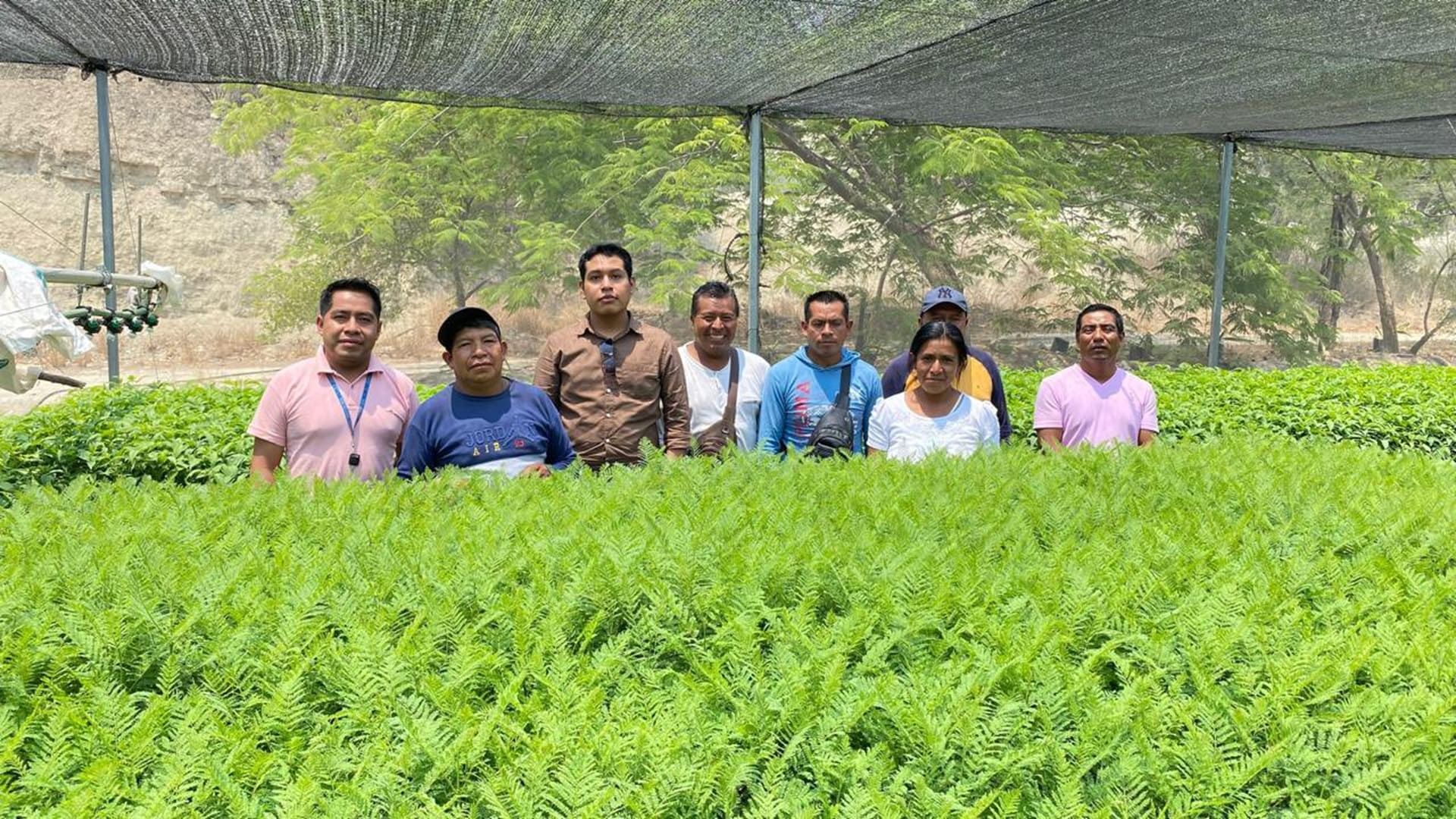 ¿Adónde ir? Coesfo te invita a conocer el vivero de Teotitlán de Flores Magón